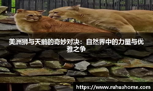 美洲狮与天鹅的奇妙对决：自然界中的力量与优雅之争